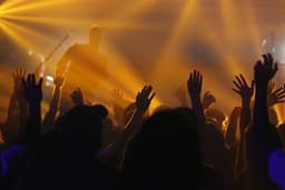 Concerts & Shows
